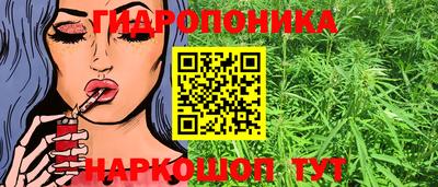 apvp Пыть-Ях