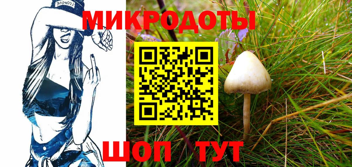 Псилоцибиновые грибы Psilocybine cubensis  где купить   Пушкино  Вход с VPN 